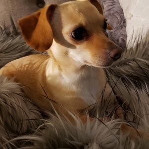 Meet your Posher, Jami